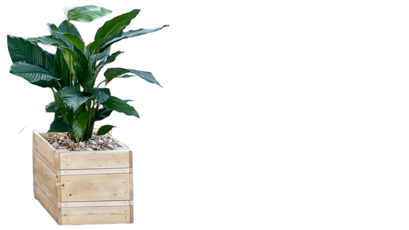 Großer Holz-Blumenkasten 40x40x40 cm zum Mieten – Pflanzkasten für Events
